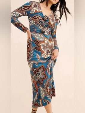 Its Here!  Farm Rio Blu X Nuuly Long Sleeve Mesh Dress